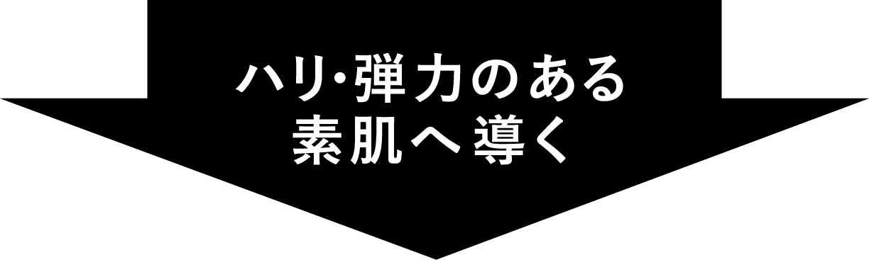ハリ・弾力のある素肌へ導く