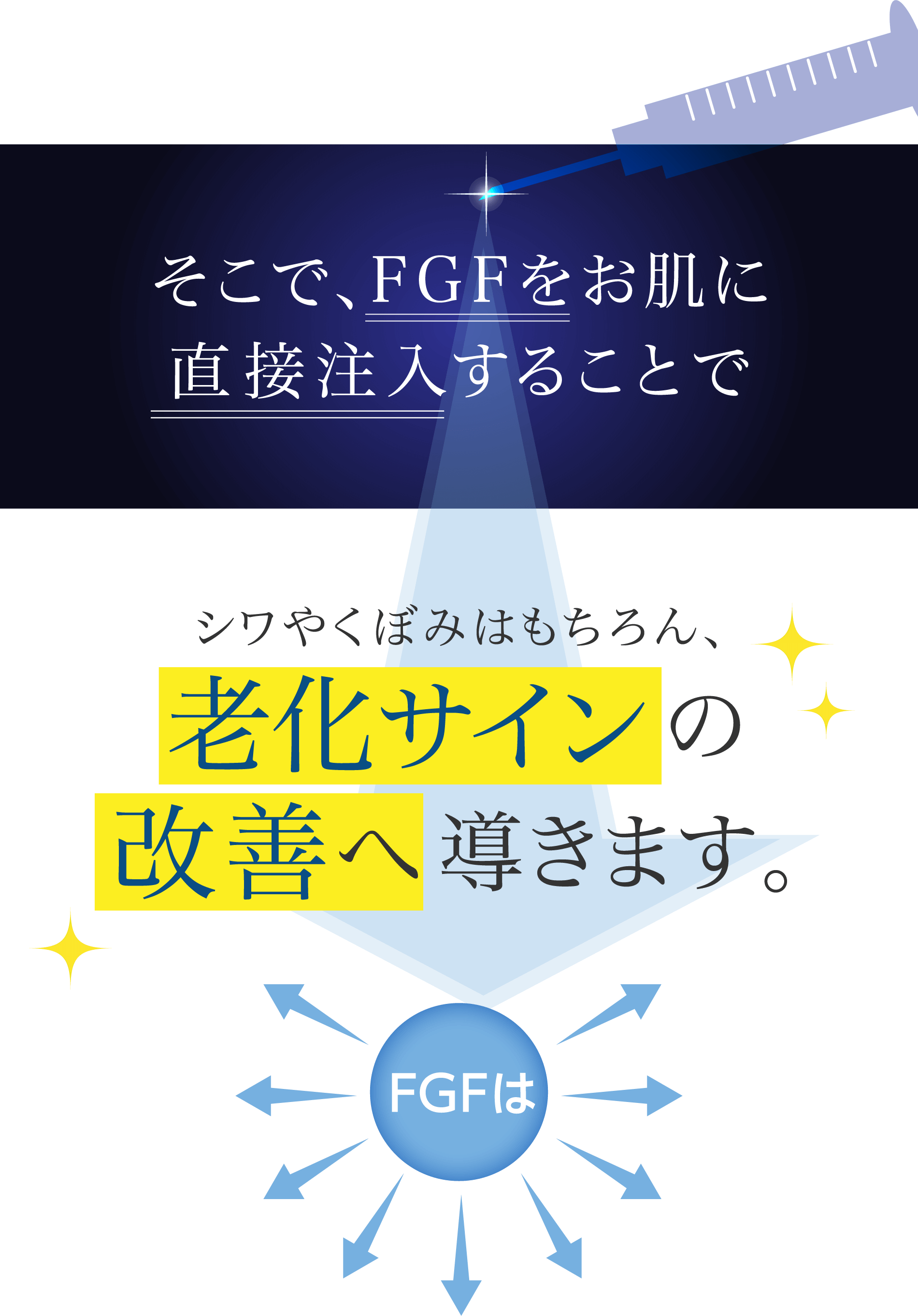 そこで、FGFをお肌に直接注入することでシワやくぼみはもちろん、老化サインの改善へ導きます。
